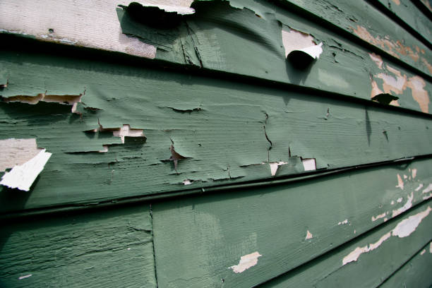 Affordable Siding Repair and Maintenance Services in Milbank, SD